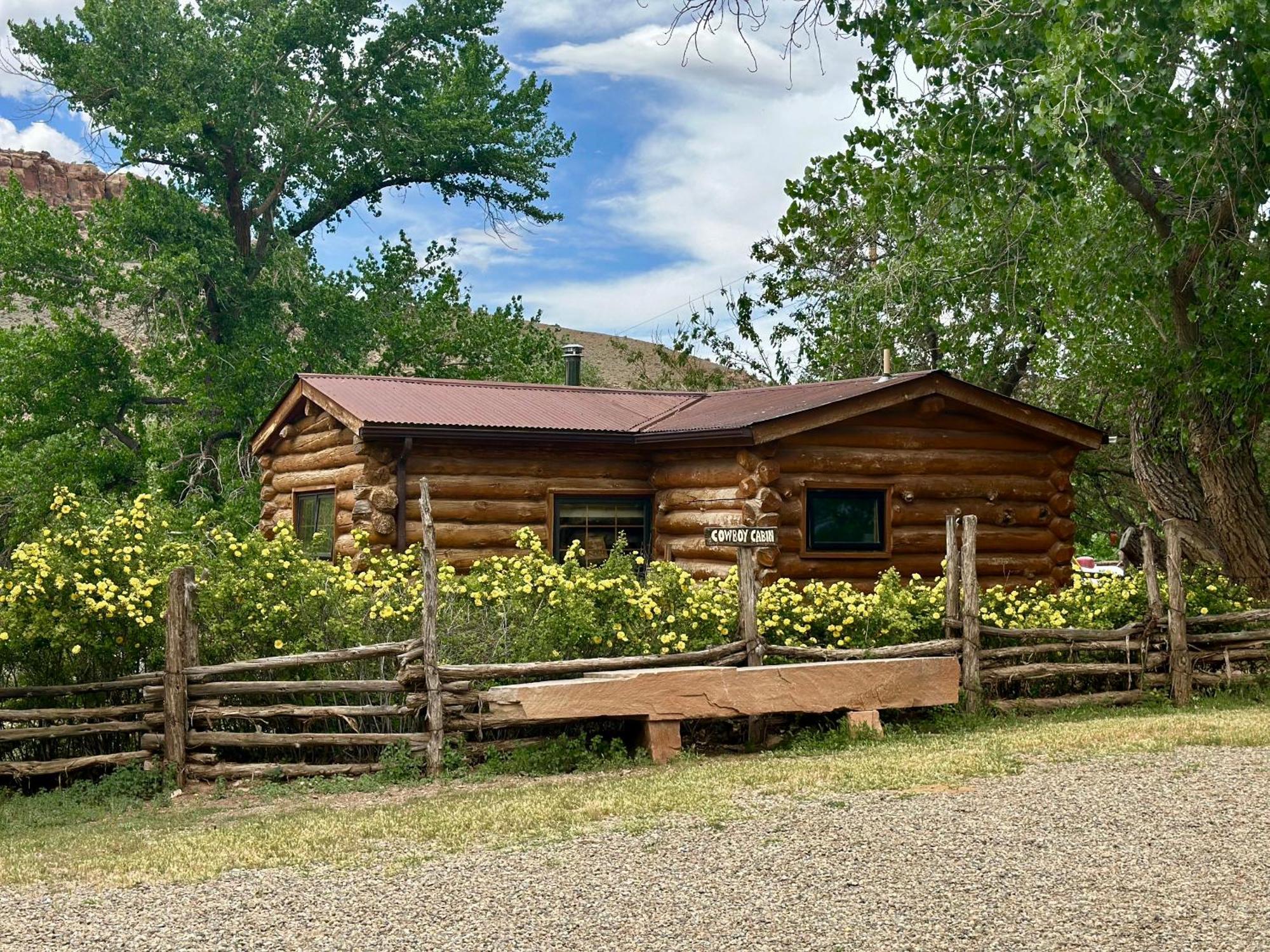 Canyon Of The Ancients Guest Ranch 科特斯 外观 照片