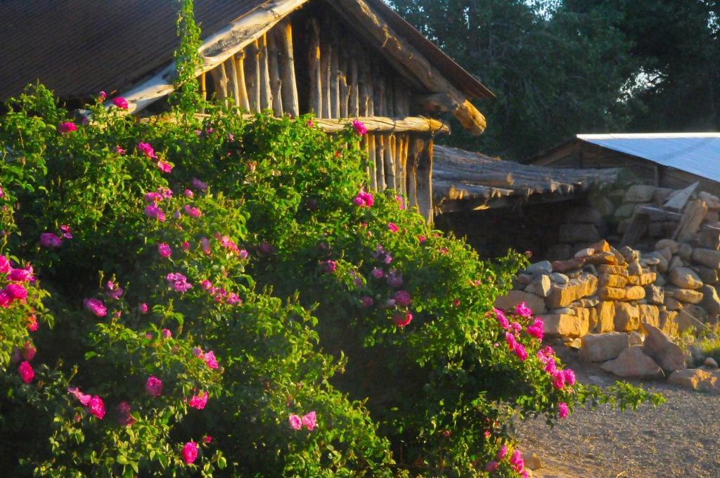 Canyon Of The Ancients Guest Ranch 科特斯 外观 照片